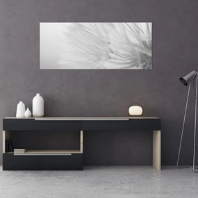 Obraz - Púpava (120x50 cm)