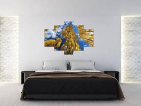 Obraz - Aspen (150x105 cm)
