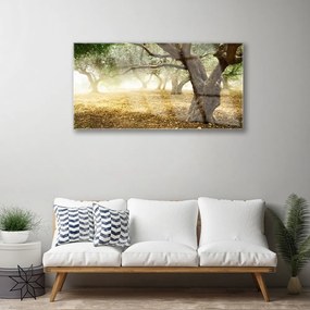 Obraz na akrylátovom skle Strom tráva príroda 100x50 cm