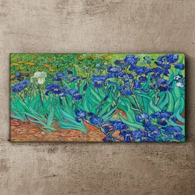 Obraz na plátne Van Gogh Dúhovky