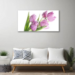 Skleneny obraz Tulipány kvety rastlina 125x50 cm