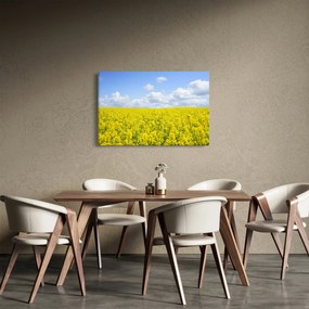 Obraz žltého poľa (90x60 cm)