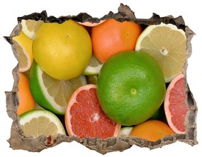 Nálepka 3D díra Citrusové ovocie nd-k-75213206