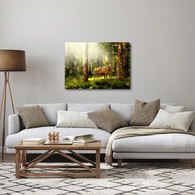 Obraz jeleňa v lese (70x50 cm)
