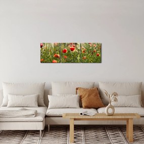 Obraz vlčích makov (s hodinami) (90x30 cm)