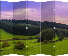 Paraván - Lúka (210x170 cm)