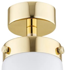 Argon 8005 - Prisadený luster PASADENA 1xE27/15W/230V zlatá/biela