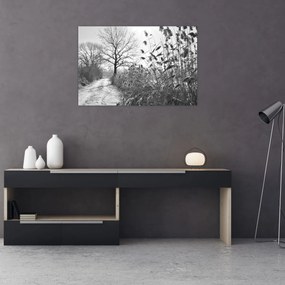 Obraz - Pole v zime (90x60 cm)