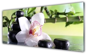 Obraz plexi Orchidea kamene bambus 125x50 cm