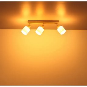 Globo 54114-3 - Bodové svietidlo TRENT 3xE14/25W/230V