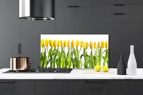 Sklenený obklad Do kuchyne Tulipány kvety príroda 120x60 cm