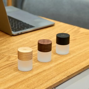 Čierna svetelná dekorácia na USB ø 4,5 cm Lemelia – Gingko