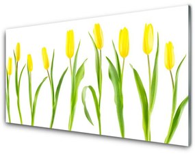 Skleneny obraz Žlté tulipány kvety 100x50 cm 2 Prívesky