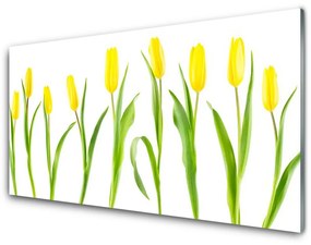 Skleneny obraz Žlté tulipány kvety 100x50 cm