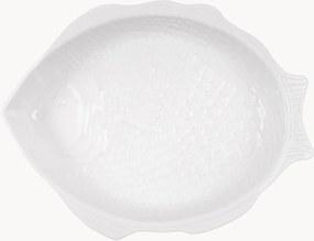 Zapekacia misa Pisca