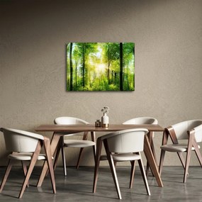 Obraz - Svitanie v lese (70x50 cm)