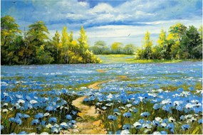 Obraz - Cestička v poli, olejomaľba (90x60 cm)