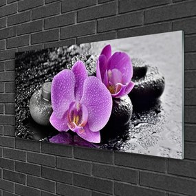Skleneny obraz Orchidea kvety kamene zen 125x50 cm
