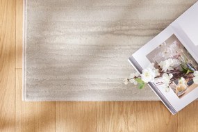Koberec Ragolle Argentum 64229 6575