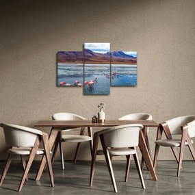 Obraz - Plameniaky (90x60 cm)