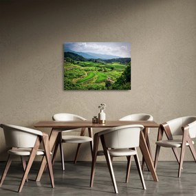 Sklenený obraz ryžových polí (70x50 cm)