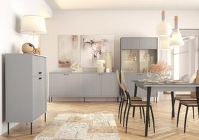 Skrinka ARIS 2D2D, sivá