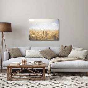 Obraz obilia (70x50 cm)
