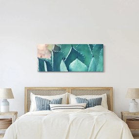 Obraz - Sukulent (120x50 cm)