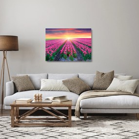 Sklenený obraz poľa tulipánov so slnkom (70x50 cm)