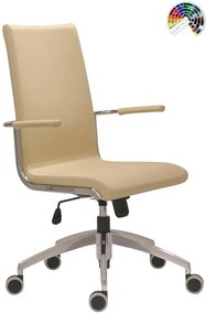 ANTARES Kancelárska stolička 1920 ALEX ALU čalúnenie KOŽA