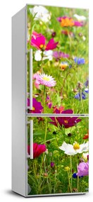 Foto tapeta na chladničku Poľné kvety FridgeStick-70x190-f-169402975