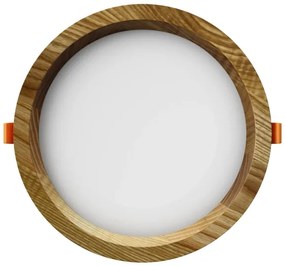 APLED - LED Podhľadové RONDO WOODLINE LED/12W/230V 3000K pr. 20 cm jaseň masív