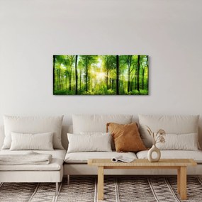 Obraz - Svitanie v lese (120x50 cm)