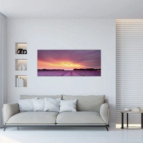 Obraz - Levanduľové pole (120x50 cm)