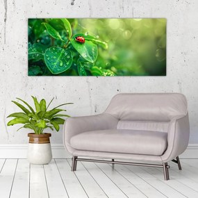 Obraz - Lienka (120x50 cm)