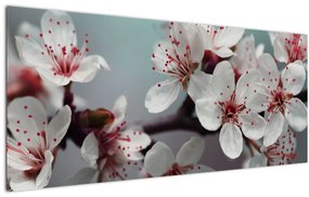 Obraz kvetov - červené (120x50 cm)