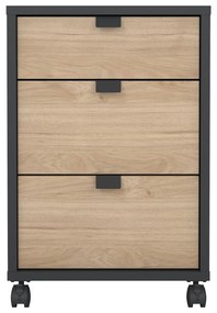 Skrinka v dekore duba v antracitovo-prírodnej farbe 41x61 cm Sign – Tvilum