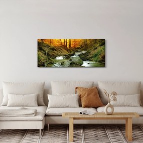 Obraz - Les (120x50 cm)