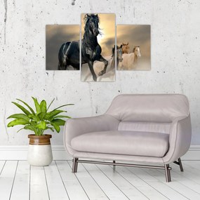 Obraz - Kone (90x60 cm)
