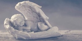 Obraz spiaci anjelik Varianta: 100x50