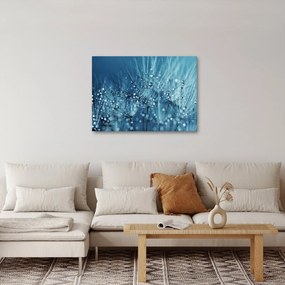 Obraz - Kvapky rosy (70x50 cm)