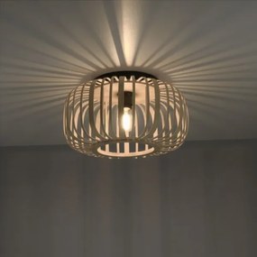 Leuchten Direkt 11412-79 - Prisadený luster RACOON 1xE27/40W/230V pr. 40 cm