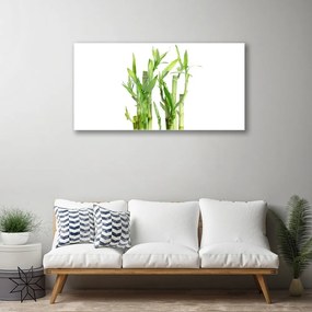 Obraz na skle Bambus stonka kvet rastlina 100x50 cm
