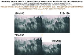 Samolepiaca tapeta loďka na šírom mori