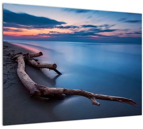 Obraz pláže pri západe slnka (70x50 cm)