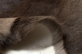 Koberec RENIFER POK010 hnedý