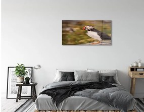 Sklenený obraz Papagáj 125x50 cm