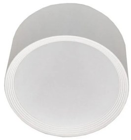 LED Stropné svietidlo PERCI LED/30W/230V IP40 4000K biela