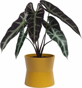 Keramický kvetináč ø 14 cm Diana – Artevasi