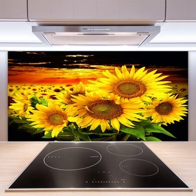 Sklenený obklad Do kuchyne Slnečnica kvet rastlina 125x50 cm